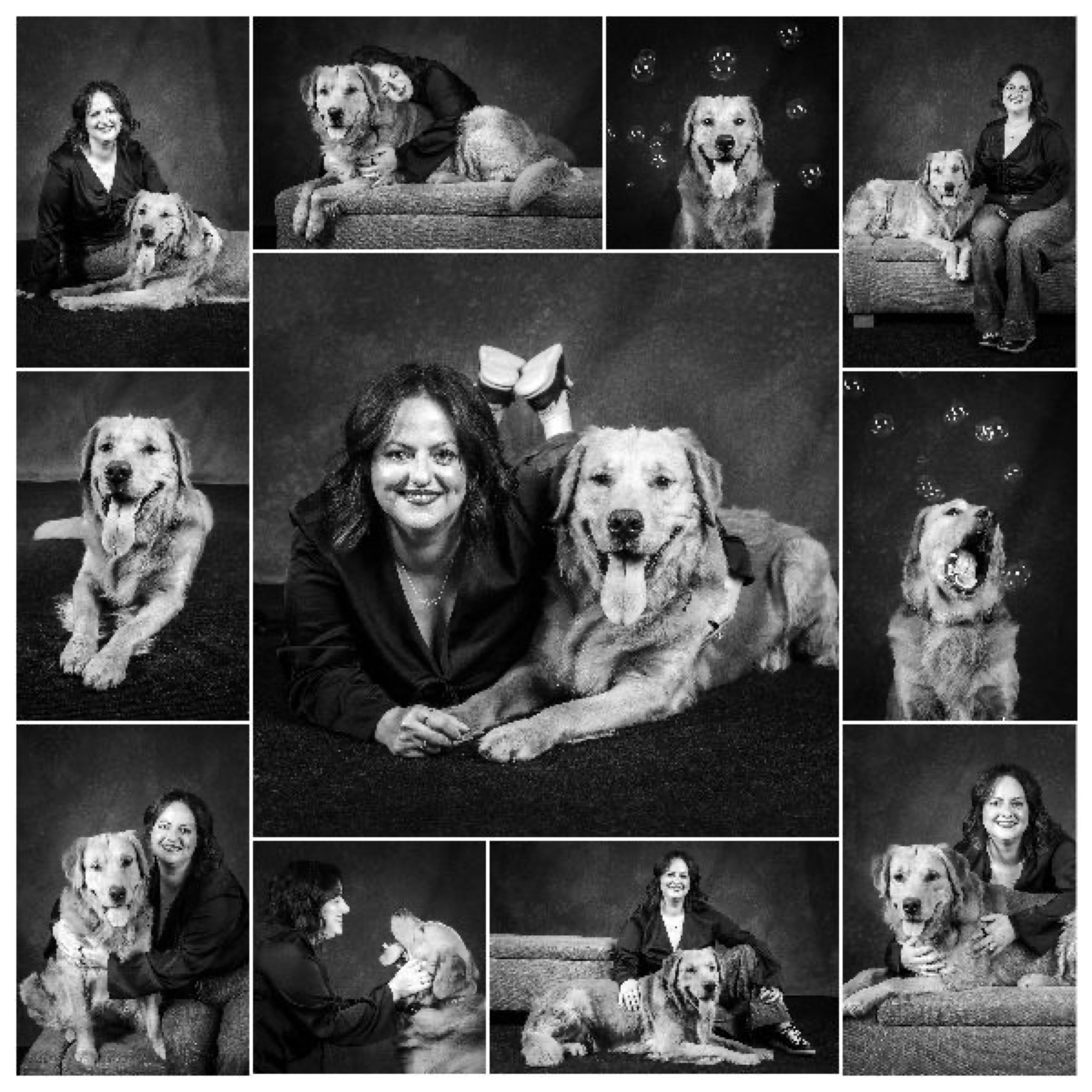 A 30 by 30 inch acrylic collage of eleven black and white portraits of a woman and her golden retriever