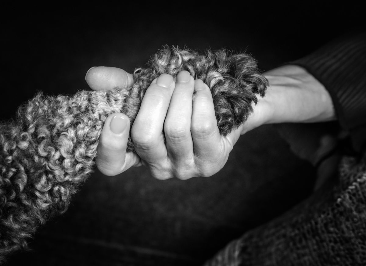 The doodle's paw in Jonna's hand