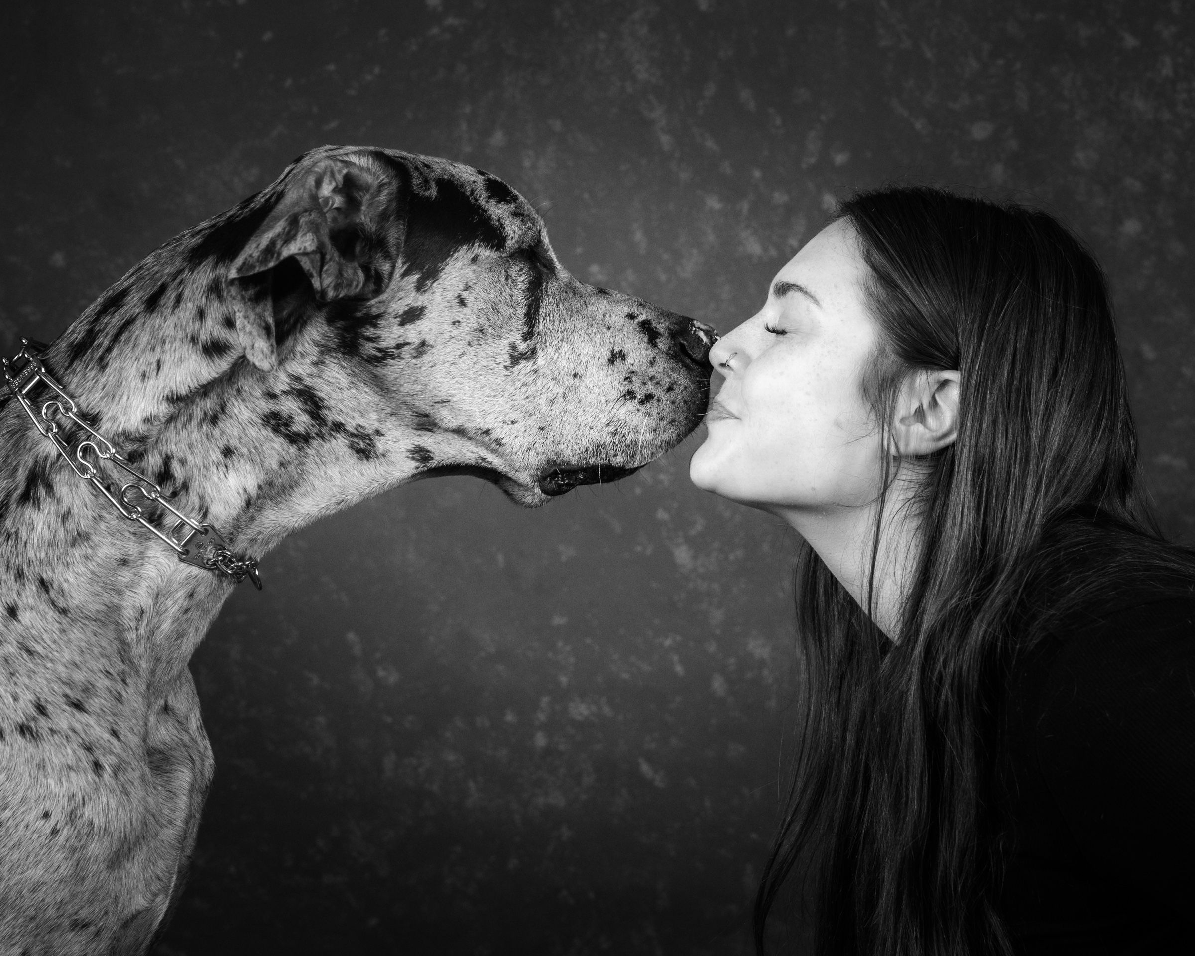 A merle Great Dane and a young woman touching noses in a kiss