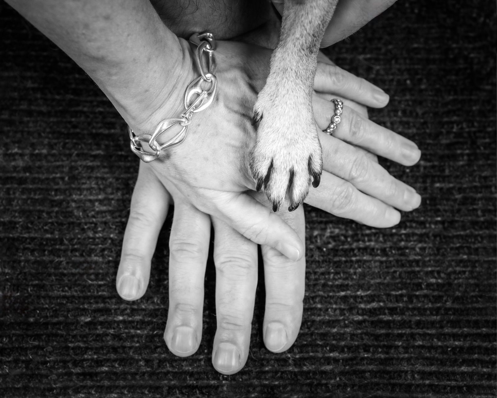 Two hands, one with a bracelet and one with a ring, and a paw resting on them