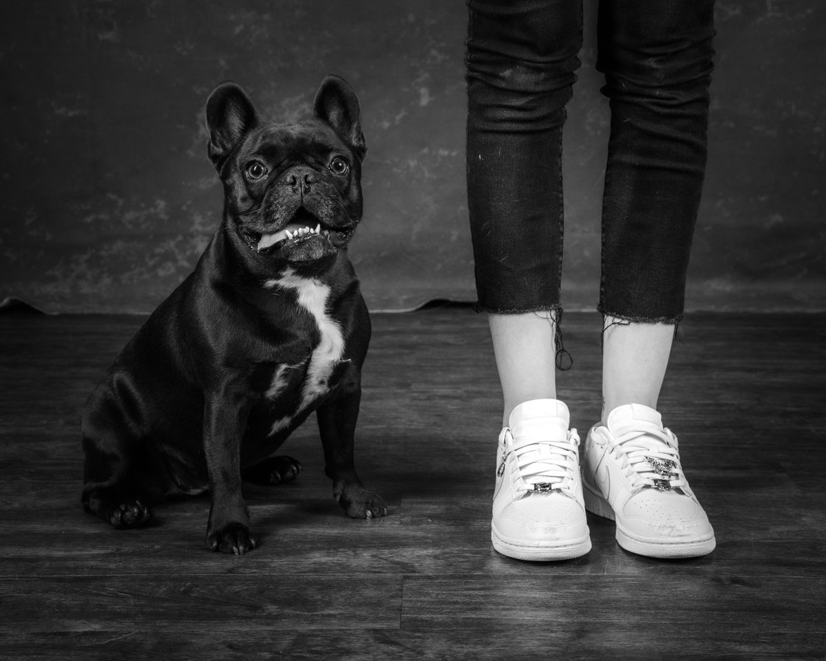 Sable sitting beside Victoria's white sneakers