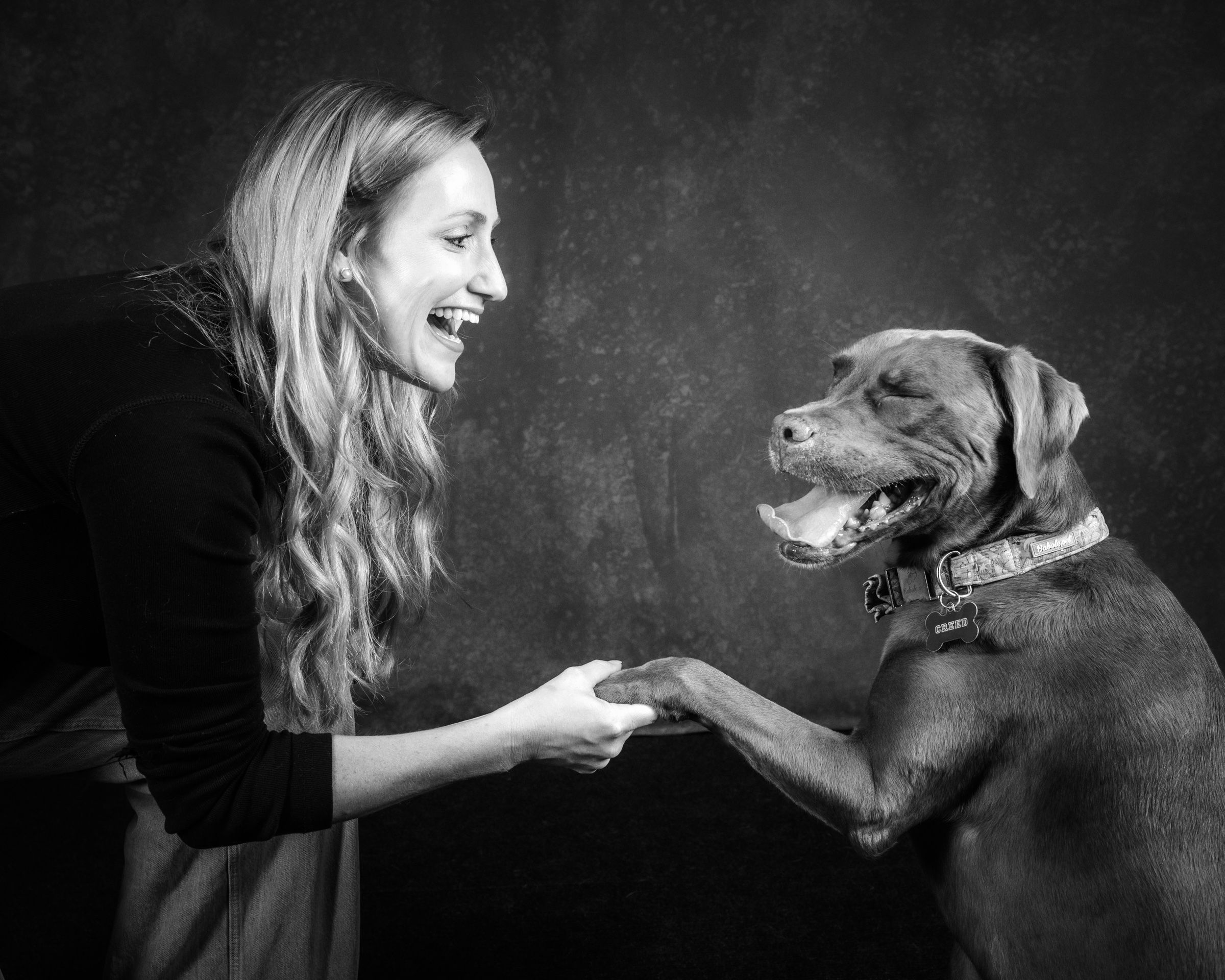 A woman shaking paws with her chocolate lab